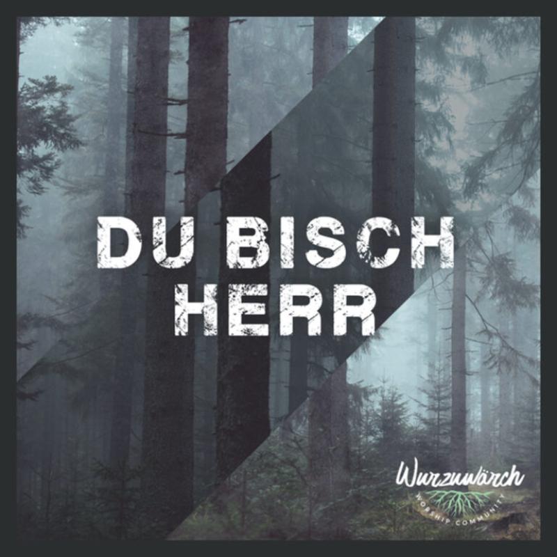 EP-Du bisch Herr Unsere EP- Du bisch Herr erschien im September 2020
<br><br>
<strong>Enthaltene Songs:</strong><br>
- Tröi<br>
- Du hesch der Sieg<br>
- Zueflucht<br>
- Du bisch der Fels<br>
- Du bisch Herr<br>
- Es isch dini Fröid